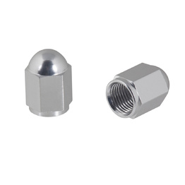 Nut Style Valve Caps - Silver