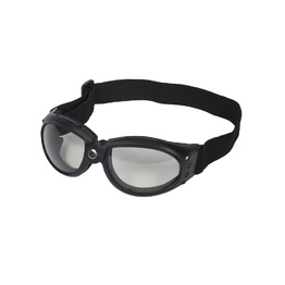Touring Goggles - Clear lens