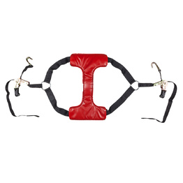 Tyre Tie Down Strap