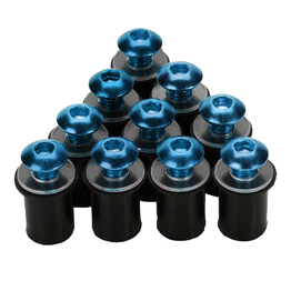 10PC Screen Bolt Kit - Blue