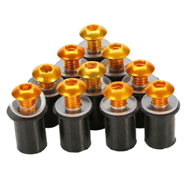 10PC Screen Bolt Kit - Gold