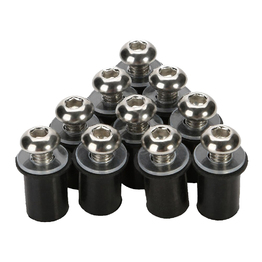 10PC Screen Bolt Kit - Silver